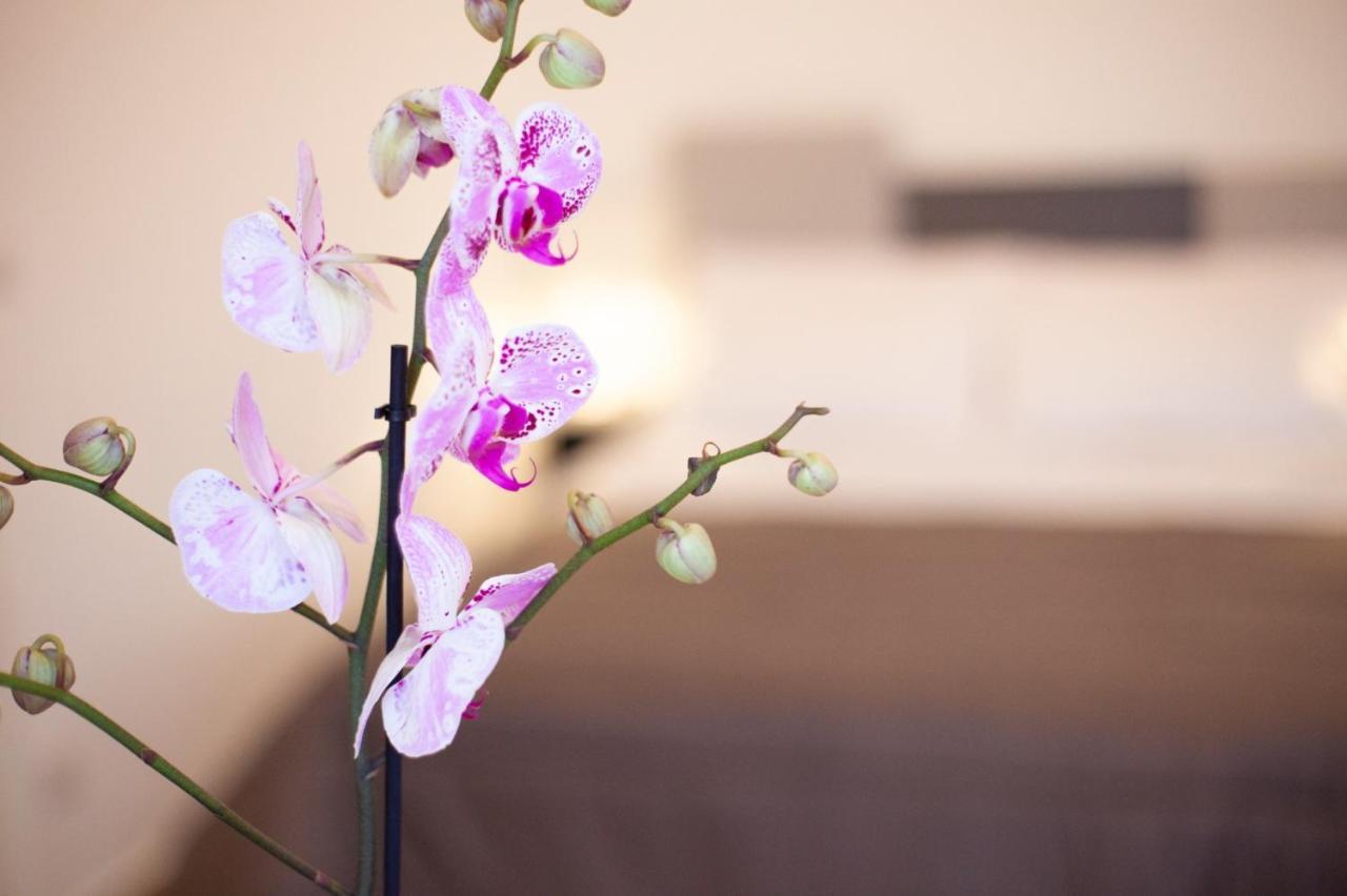Casapaola B&B Rooms Acireale Extérieur photo